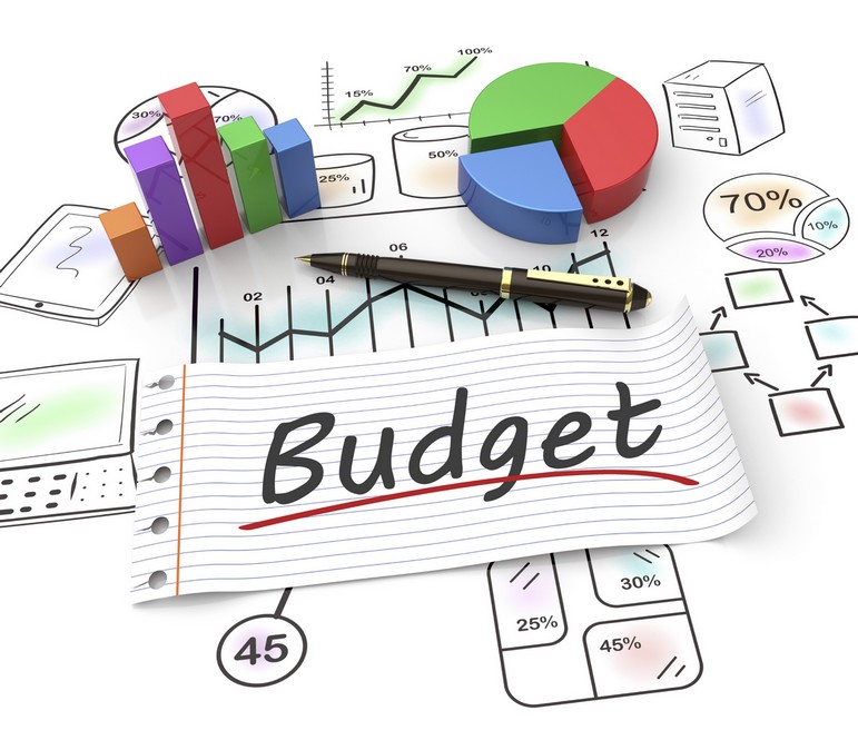 Budget icon