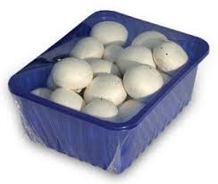 champignons