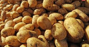 pommes de terres
